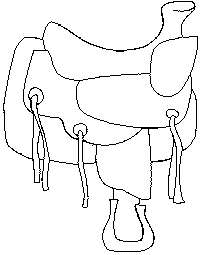SILVER SADDLES